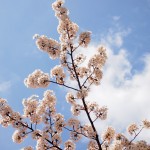 新年度スタート！